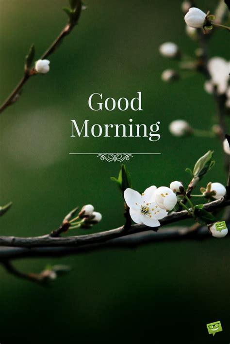 Everybody loves good day wishes, especially if they are sent by their loved ones. Fresh Inspirational Good Morning Quotes for the Day | Get ...