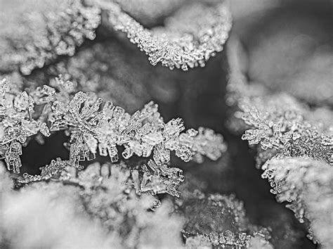 Ice Crystals Aber Nur Für Wenige Tage Carl Graph Flickr