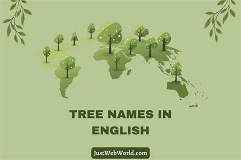 20 Tree Names In English With Pictures