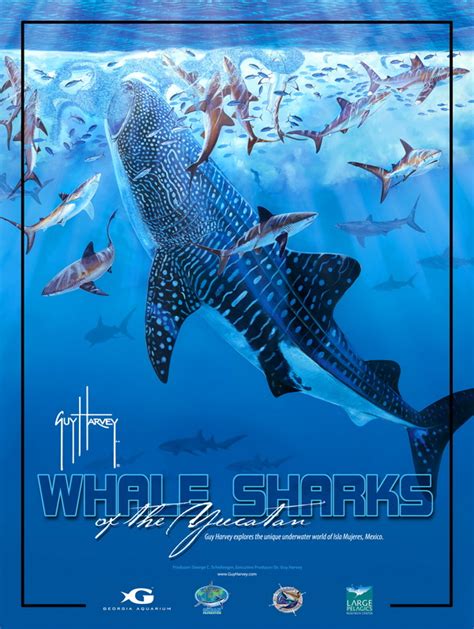 Screening Of New Guy Harvey Documentary On Research With Yucatán Whale