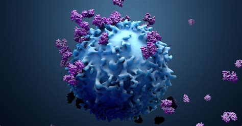 3d Illustration Of A Cancer Cell Health Insight