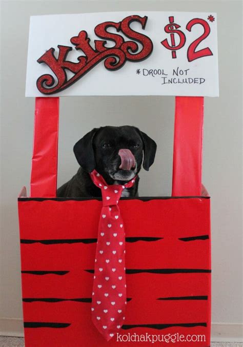 16 adorable valentine's day photo opp ideas. $5 Photos Shoots: Easy DIY Valentine's Day Dog Photos ...