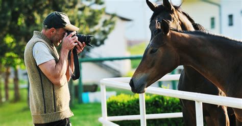 7 Horse Photography Tips Take Great Photos Of Your Own