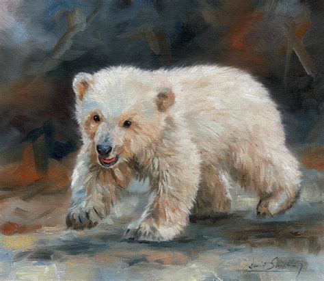 Young Polar Bear Painting By David Stribbling Fine Art America