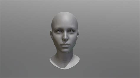 head a 3d model collection by art imstark sketchfab