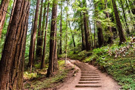 15 Best Hikes In California You Have To Do The Planet D