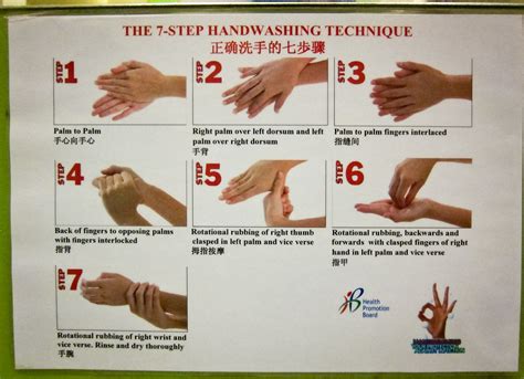 7 steps of washing your hands. The 7-step Handwashing Technique | Full Story: www ...