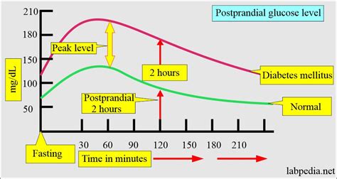 Diabetes Mellitus And Glucose After 2 Hours Of The Meal Postprandial