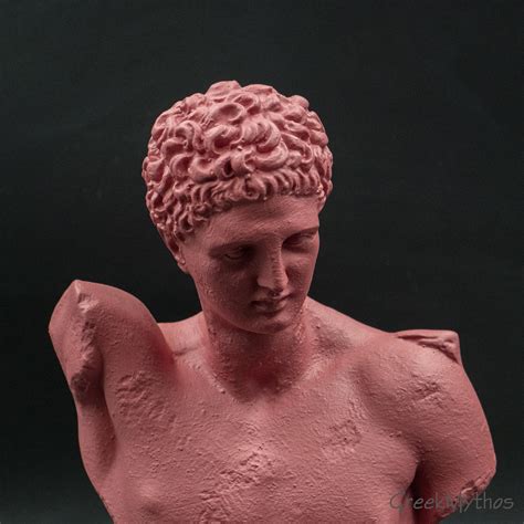 Hermes Of Praxiteles Man Bust Statue Ancient Greek Art Fuchsia Pink