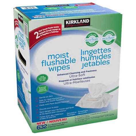 Kirkland Signature Moist Flushable Wipes 10 Packs Of 60 Plus Two