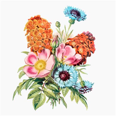 Vintage Summer Flowers Bouquet Vector Premium Vector Illustration