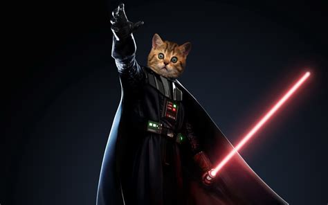 Darth Vader Cat Star Wars Catsstar Wars Cats