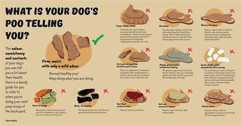 Canine Poop Chart