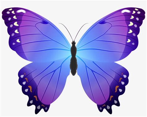 Butterfly Purple Transparent Png Clip Art Blue And Purple Butterfly
