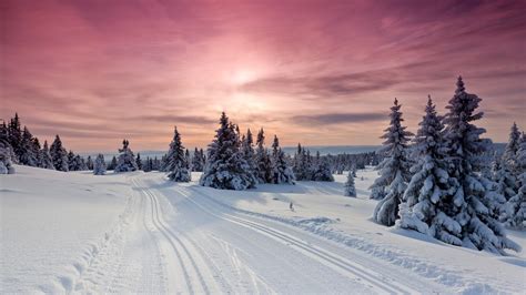 Wallpaper Landscape Nature Sky Clouds Trees Forest Mountains