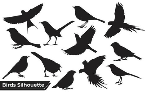 Bird Vector Art Icons And Graphics For Free Download