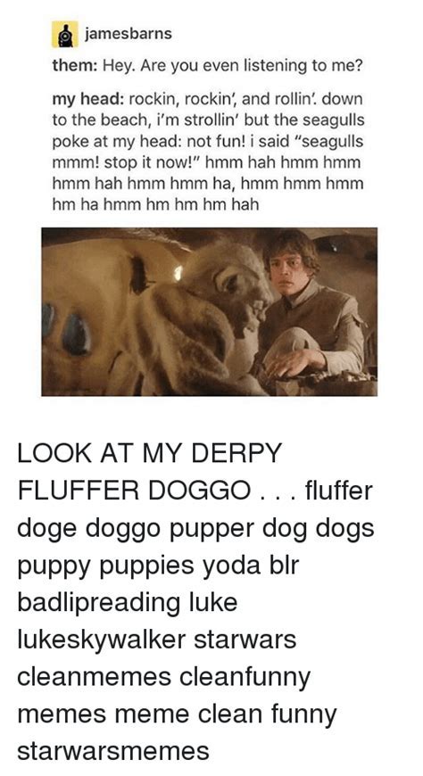 fluffer memes