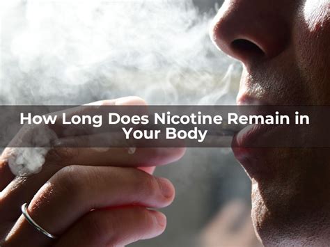 How Long Does Nicotine Remain In Your Body MIRUSVAPE