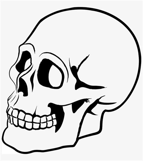 Skull Cartoon Png 800x840 Png Download Pngkit