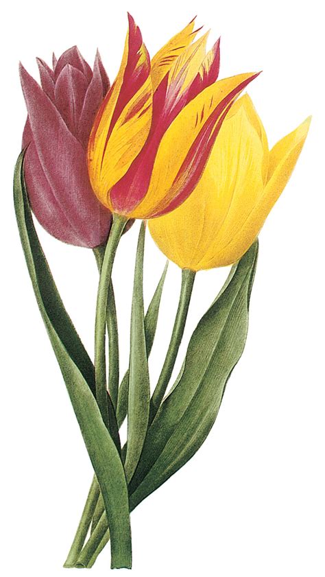 Free Clip Art Spring Flowers Clipart Best