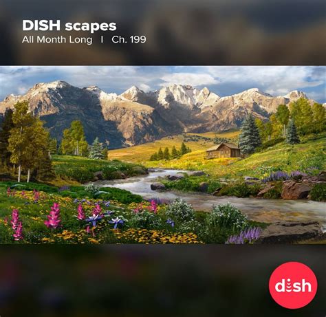 Dish Dish Scapes