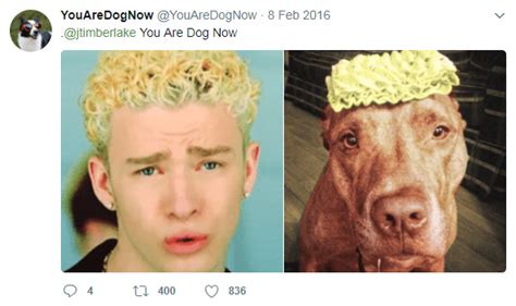 20 Times People Looked Exactly Like Dogs I Can Has Cheezburger