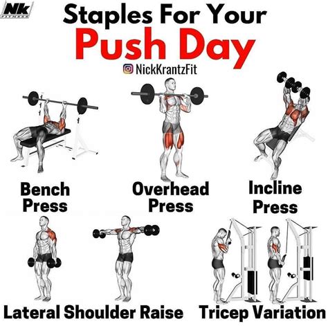 staples for your push day push day push workout push day workout