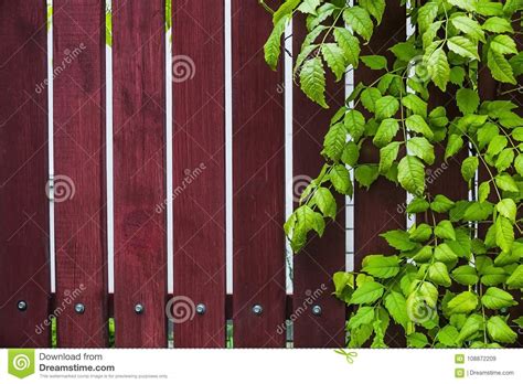 Natural Wooden Background With Green Leaves Stock Image Image Of