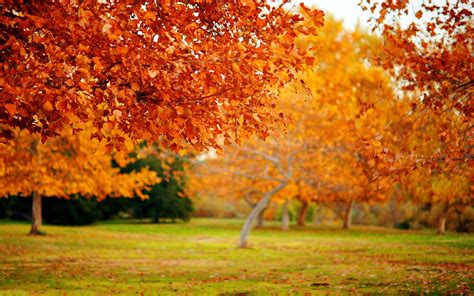 Romantic Autumn Wallpapers Top Free Romantic Autumn Backgrounds