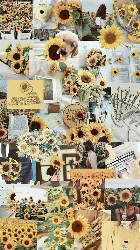 47 Aesthetic Wallpapers Collage Sunflower 2022