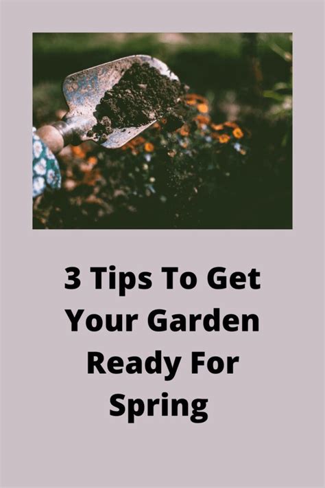 3 Tips To Get Your Garden Ready For Spring Stressedmum