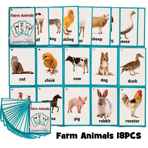 Check spelling or type a new query. 18Pcs/set Children Farm Animals English Cognitive Flash Card | Shopee Philippines