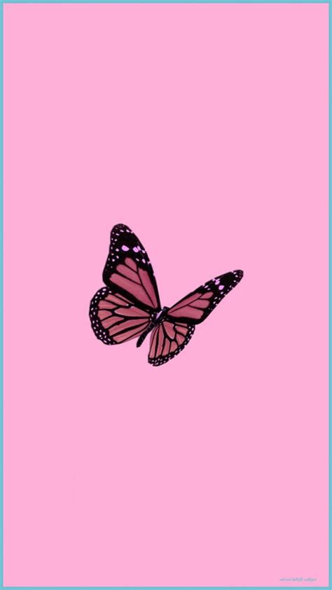 Cute Pink Butterfly Top Cute Pink Butterfly Cute Pink Butterfly