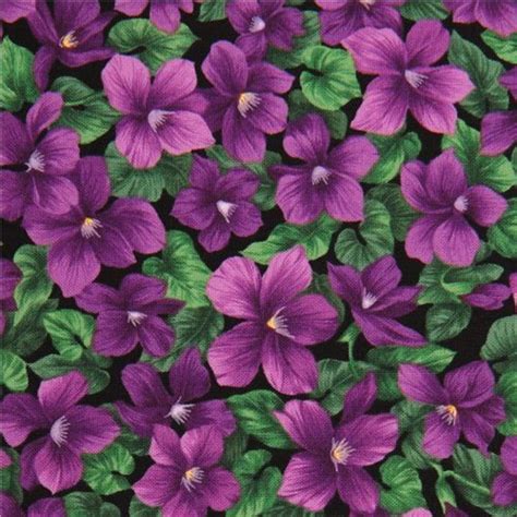 Black Violets Flower Fabric By Timeless Treasures Usa Violet Flower