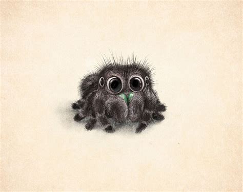 Incredibly Cute Animal Illustrations By Syndey Hanson Will