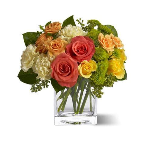 Maybe you would like to learn more about one of these? Citrus Splash in Irvine, CA | Irvine Village Flowers