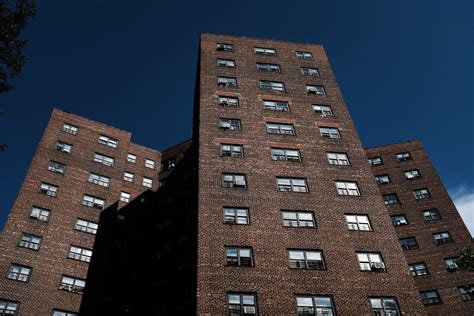 More Than 2000 Nycha Kids Poisoned By Lead Since 2010 City New York