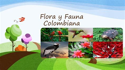 calaméo flora y fauna colombiana