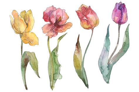 Assorted Tulips Watercolor Clipart Floral Painting Diy Elements Inv