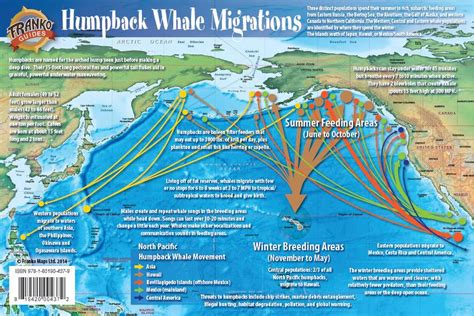 Pacific Humpback Whale Migration Card Franko Maps