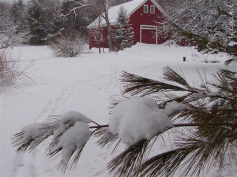 Pin By Leslie Radcliffe On Snow Winter Scenery Winter Scenes Maine