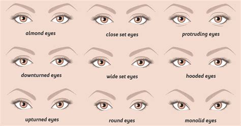 Your Eyes Characteristics Can Reveal Insights About Your Personality