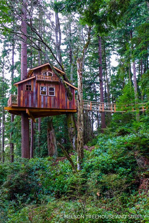 Cool places to stay on your next trip away. Sky Pirate Hideout — Nelson Treehouse