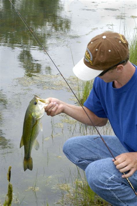 Bass Fishing Cfap Photo Gallery Community Fisheries Assistance