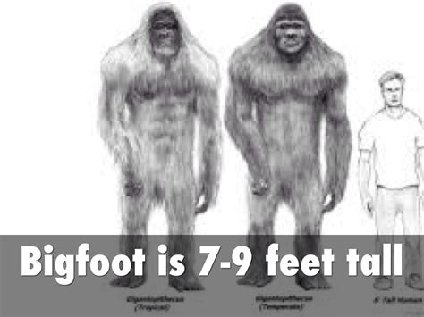Bigfoot By Mia Maufort