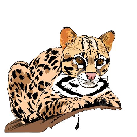 Wild Cats Jaguar Strength Mascot Leopard Vector Strength Mascot