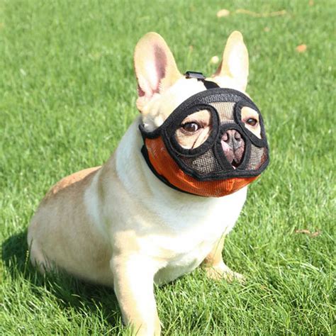 Breathable Mesh Short Nose Pet Dog Muzzles Adjustable French Bulldog