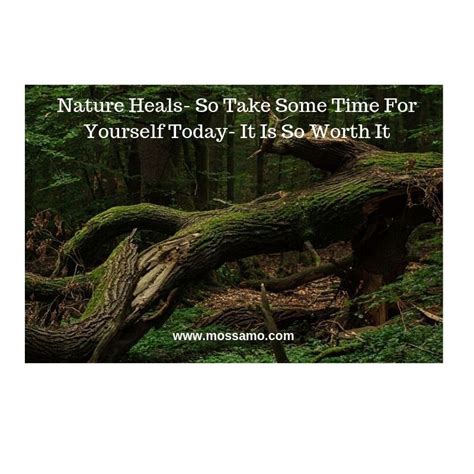 Nature Heals So Take Some Time For Yourself Today It Is So Worth It