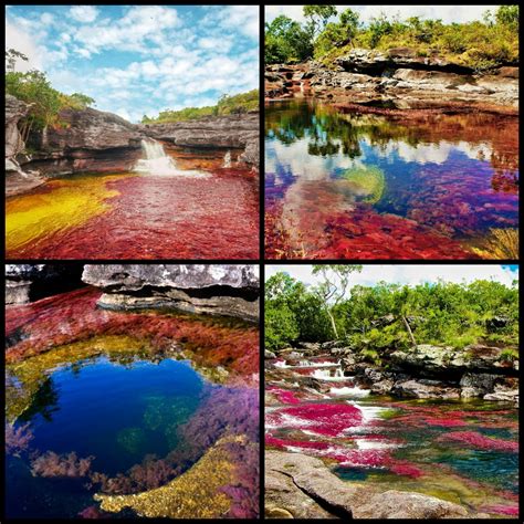 Top 103 Pictures The River Of Five Colours Colombia Full Hd 2k 4k