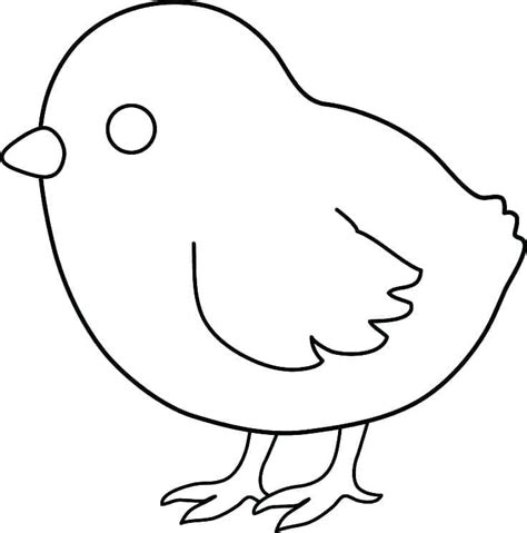 Chick Coloring Pages Coloringlib